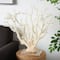 26" Cream Polystone Coral Sculpture with Clear Acrylic Base